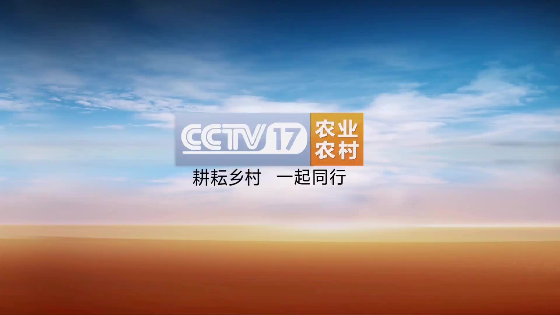 放送文化cctv17农业农村频道扶贫行动栏目片头无台标水印版