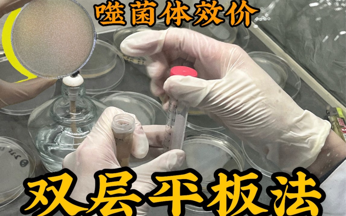 生物效价的计算方法