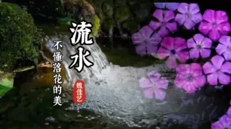 Download Video: 魏佳艺《流水不懂落花的美》落花有意，流水无情，还是有缘无份