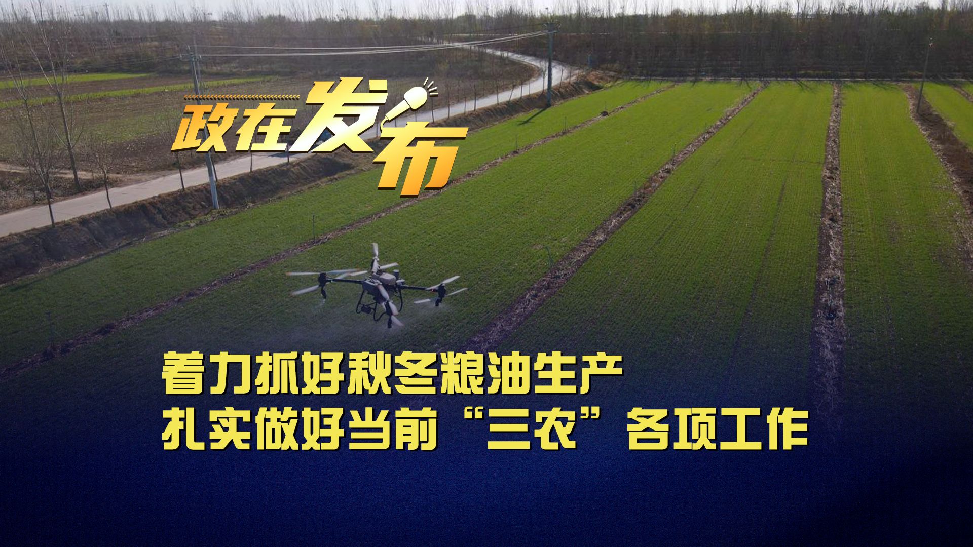 政在发布丨着力抓好秋冬粮油生产 扎实做好当前“三农”各项工作哔哩哔哩bilibili