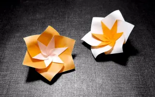 折纸花 搜索结果 哔哩哔哩 Bilibili