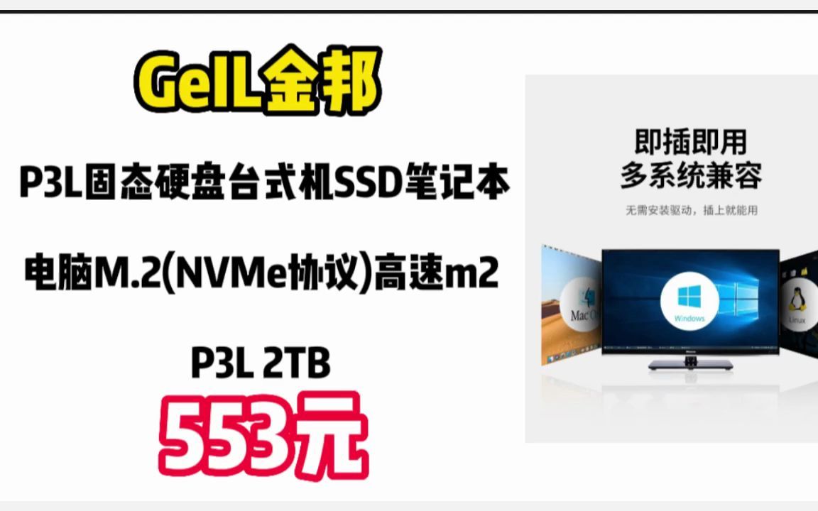 GeIL金邦 P3L固态硬盘台式机SSD笔记本电脑M.2(NVMe协议)高速m2 P3L 2TB 2212259哔哩哔哩bilibili