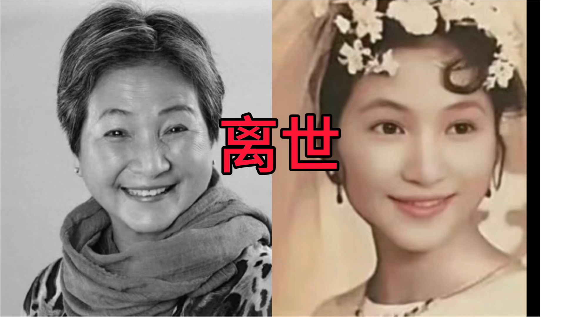 郑佩佩年轻时候的颜值真的没话说