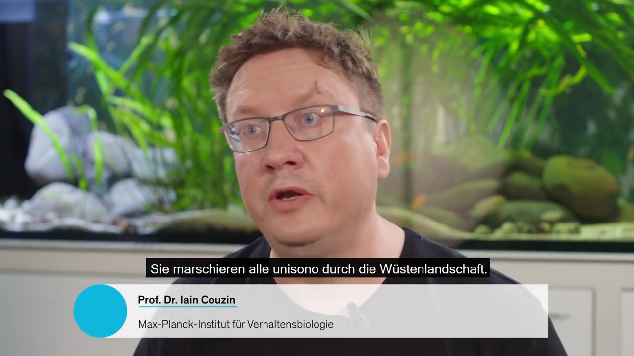 拤ezkb诫П贽輟氳}阝j)堍焘)撰