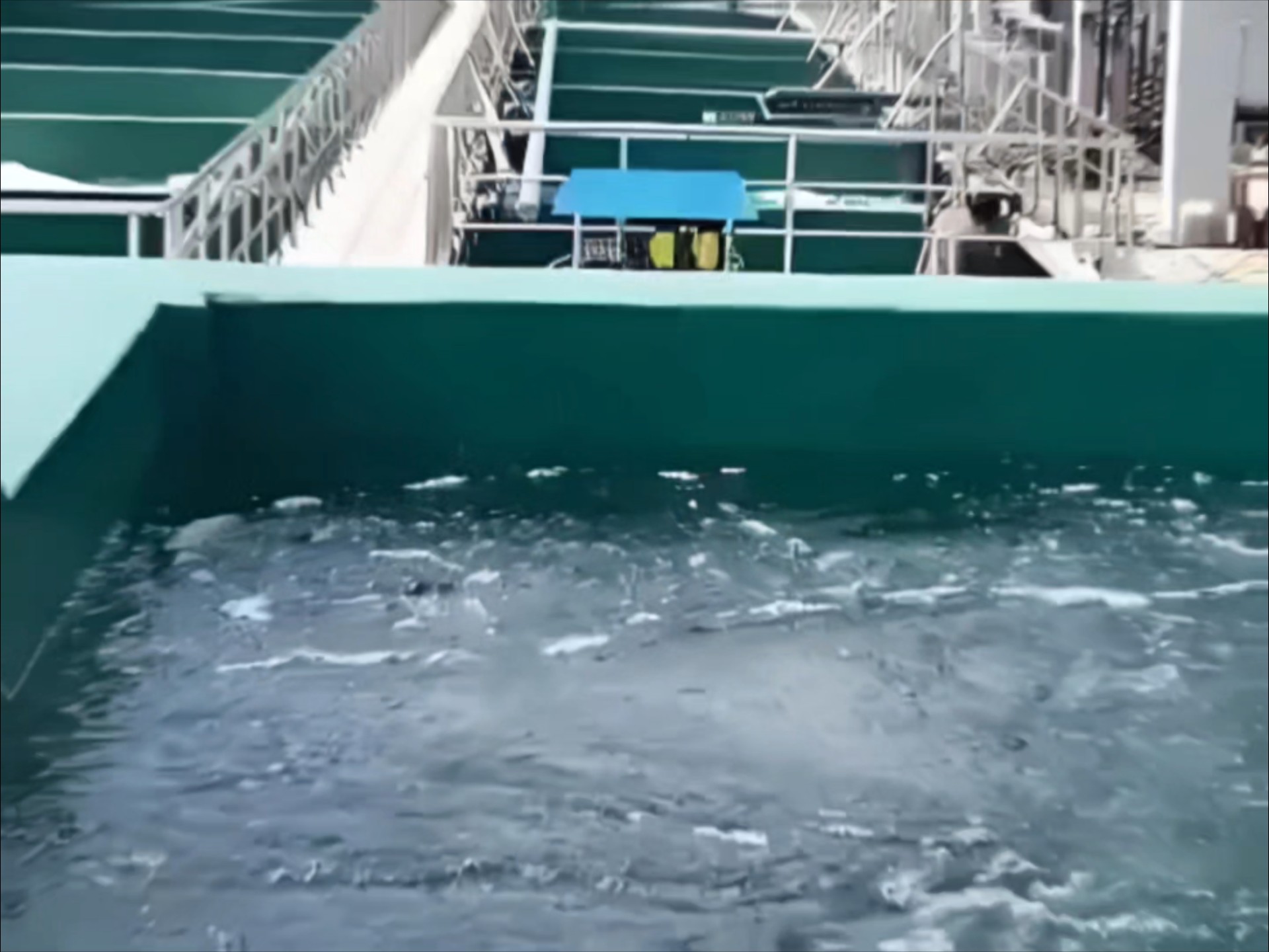 阳极氧化处理