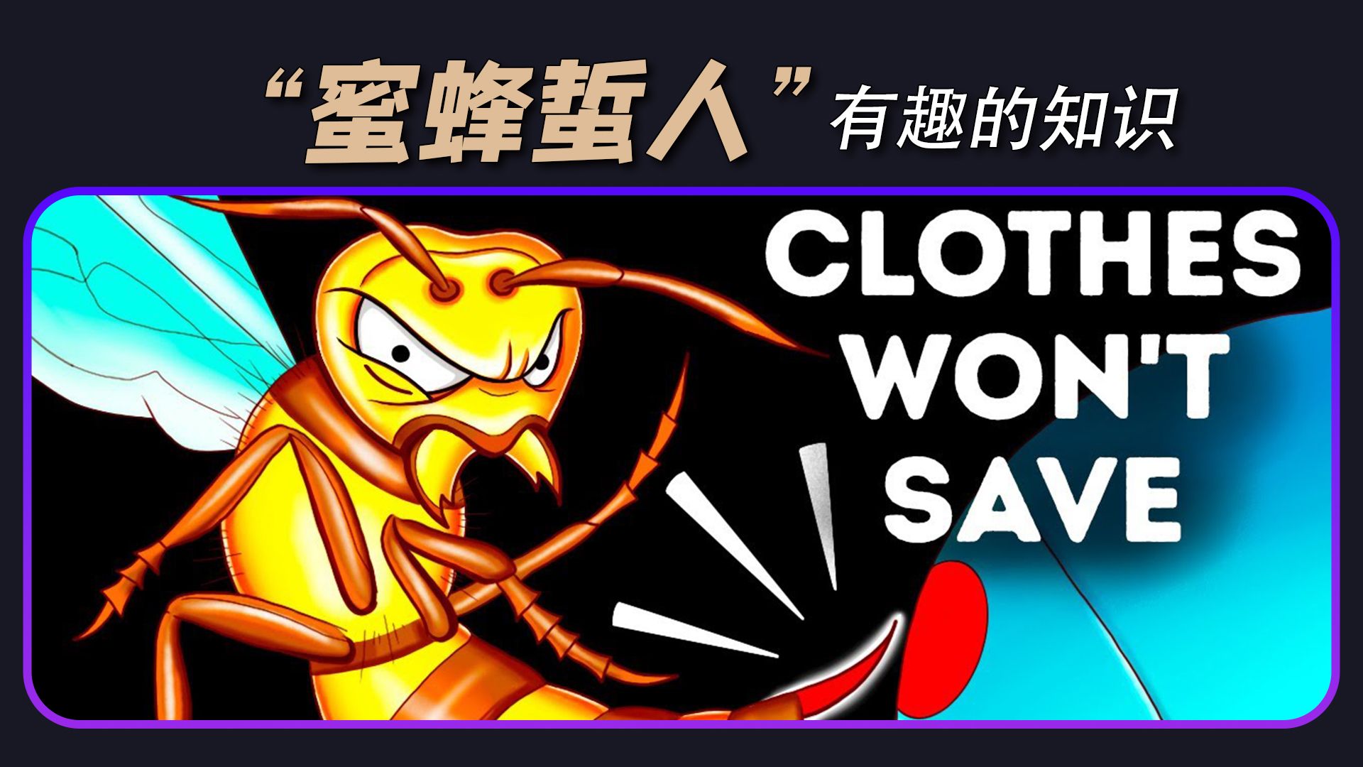 「千奇百趣」信不信由你?关于”蜜蜂蜇人“的有趣知识哔哩哔哩bilibili