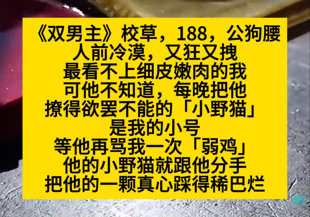 双男主 校草最看不上细皮嫩肉的我,但他不知道,我是他的小野猫……小说推荐哔哩哔哩bilibili