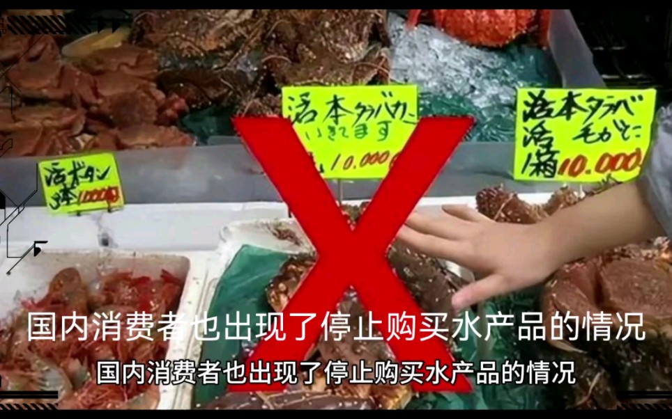 日本国民也停止购买水产品、求水产品厂商的阴影面哔哩哔哩bilibili