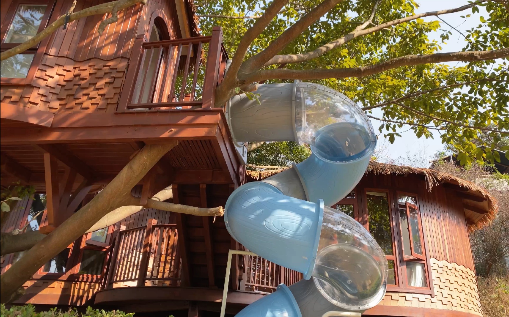 广东民宿:巨型滑梯树屋,从树杈上滑下来