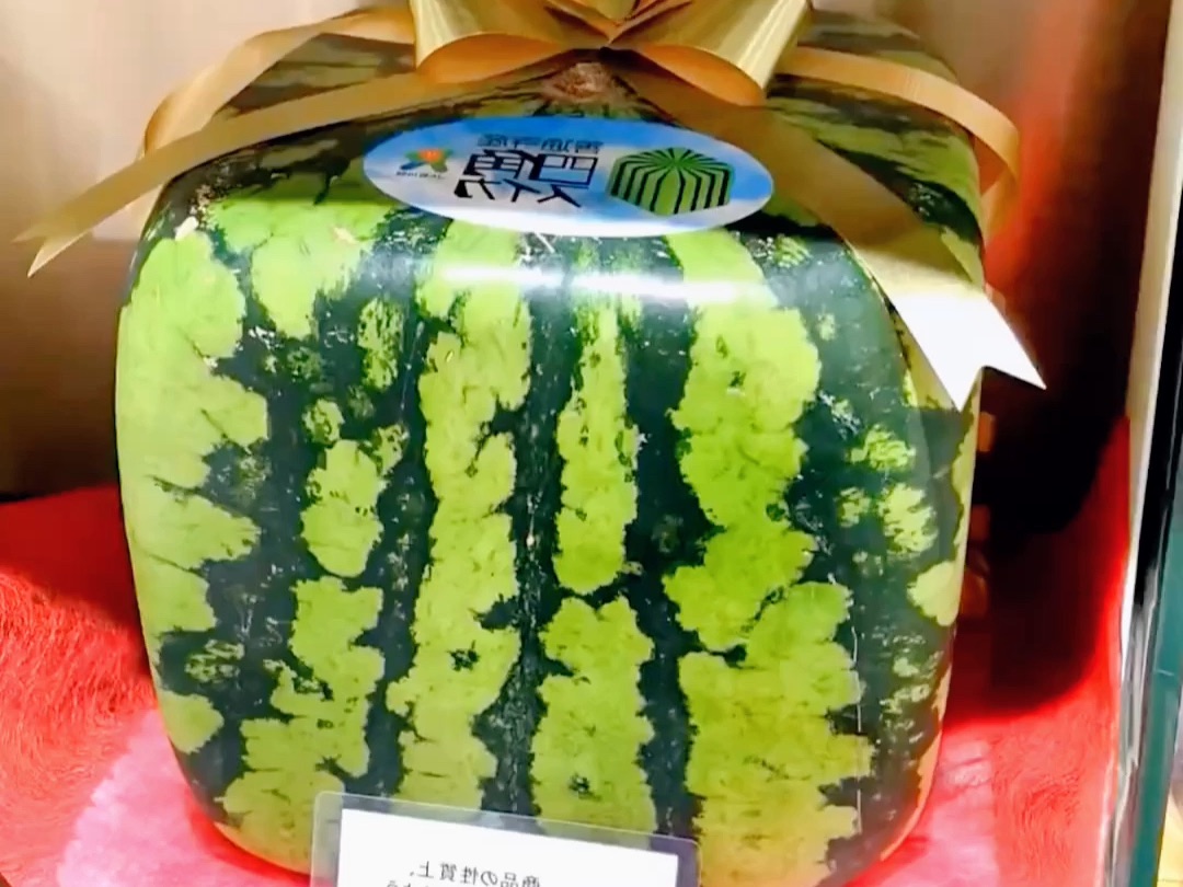 为什么日本西瓜是方形的?摇身一变卖天价