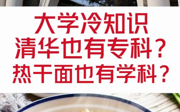 清华大学还有专科?哔哩哔哩bilibili