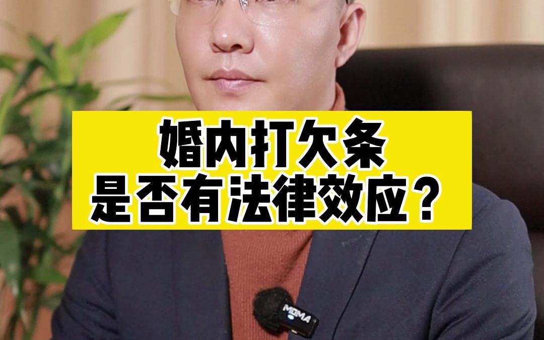 婚内打欠条是否有法律效应?哔哩哔哩bilibili