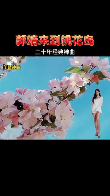 郭靖来到桃花岛 @桃花岛神曲(车载U盘)哔哩哔哩bilibili