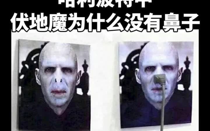 【哈利波特】 伏地魔其實是有鼻子的 請你們不要再說他沒鼻子啦