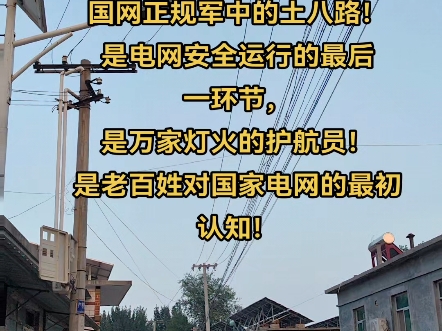 农电工在电网中的作用?国网正规军中的土八路!是电网安全运行的最后一环节,是万家灯火的护航员!是老百姓对国家电网的最初认知!#电力 #电工 #农电...