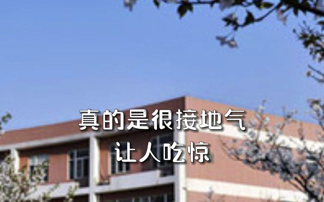 “长大”“波大”“太大”是哪所大学?用简称很容易闹出笑话的大学哔哩哔哩bilibili