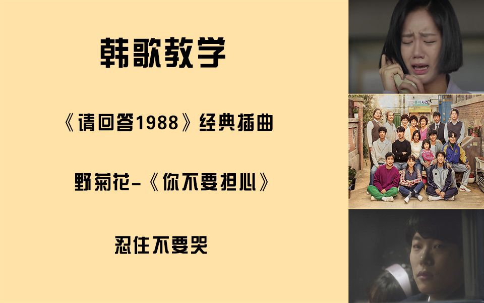 韩歌教学请回答1988经典插曲野菊花你不要担心