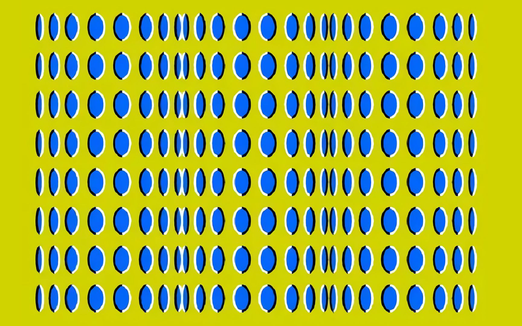 这张图,你看到的是静止的图片还是会动的图片?