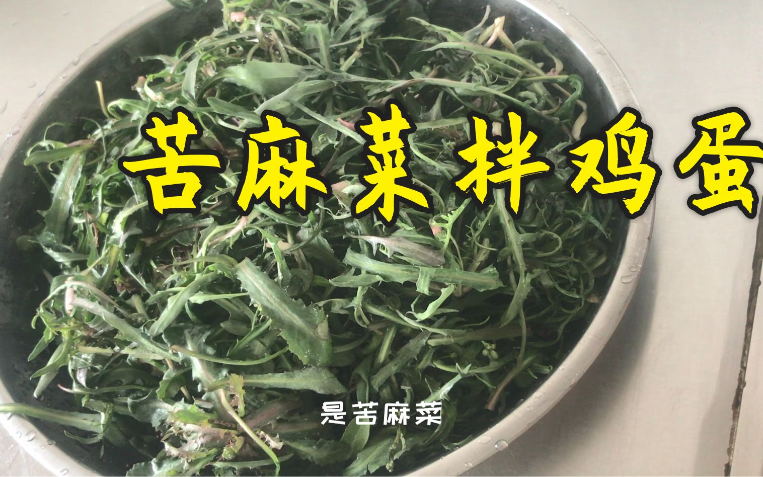 苦麻菜拌雞蛋這季節正是吃野生苦麻菜最佳時候它有解毒敗火的功效