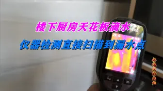 下载视频: 楼下厨房天花板滴水，仪器检测直接扫描到漏水点