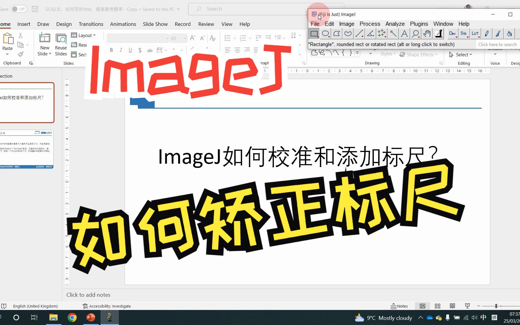 ImageJ如何校准和添加标尺?哔哩哔哩bilibili