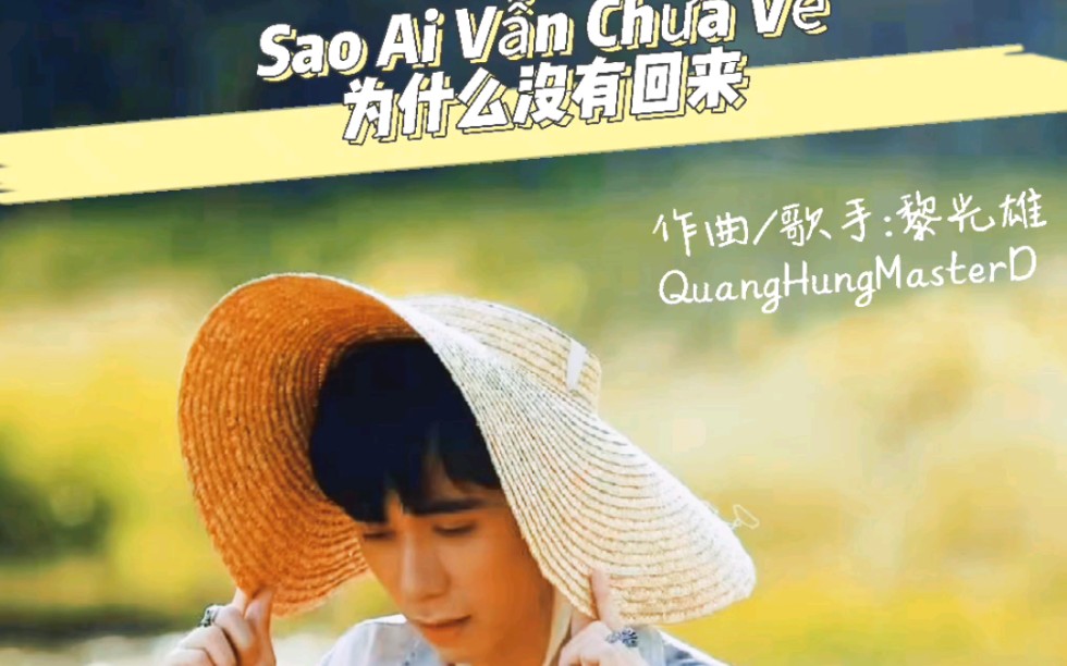 越南歌手黎光雄quanghungmastetd