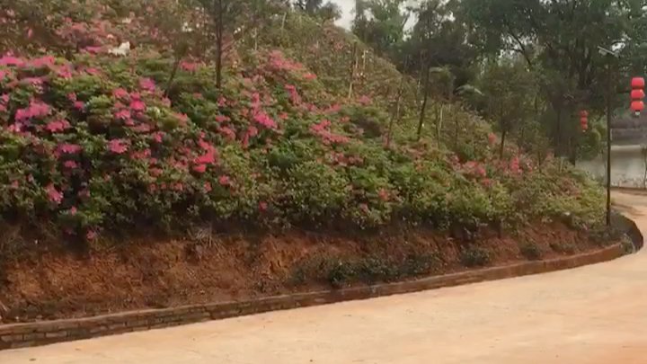 [图]美丽乡村风景