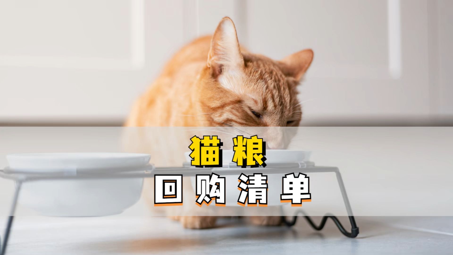 值得回购的猫粮清单,让你选粮不再纠结!哔哩哔哩bilibili