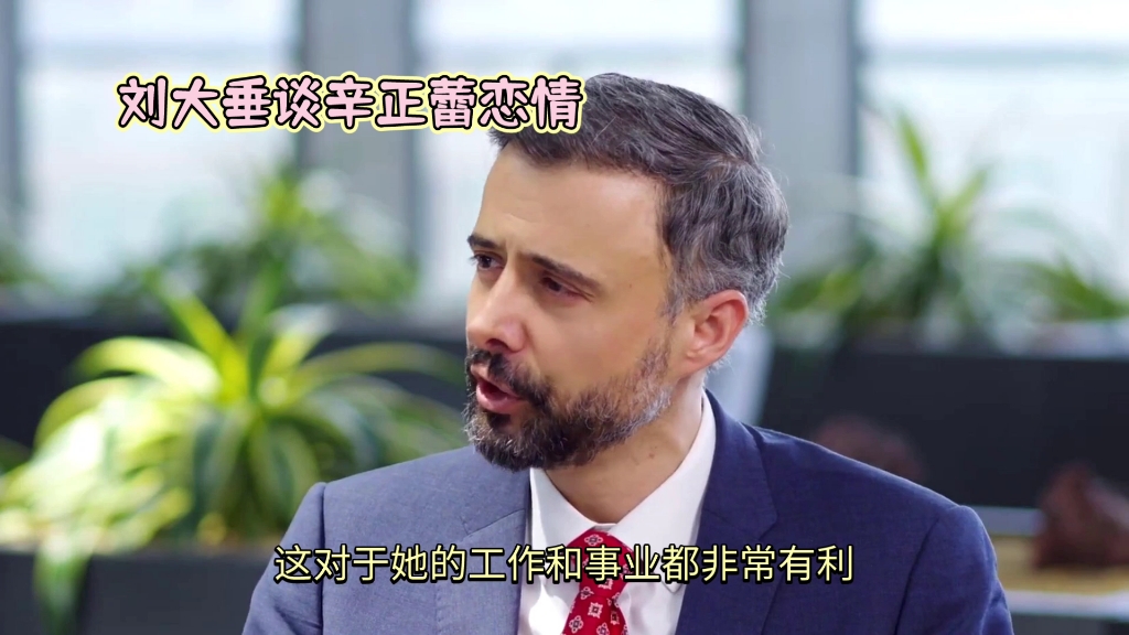 刘大垂谈辛正雷恶情