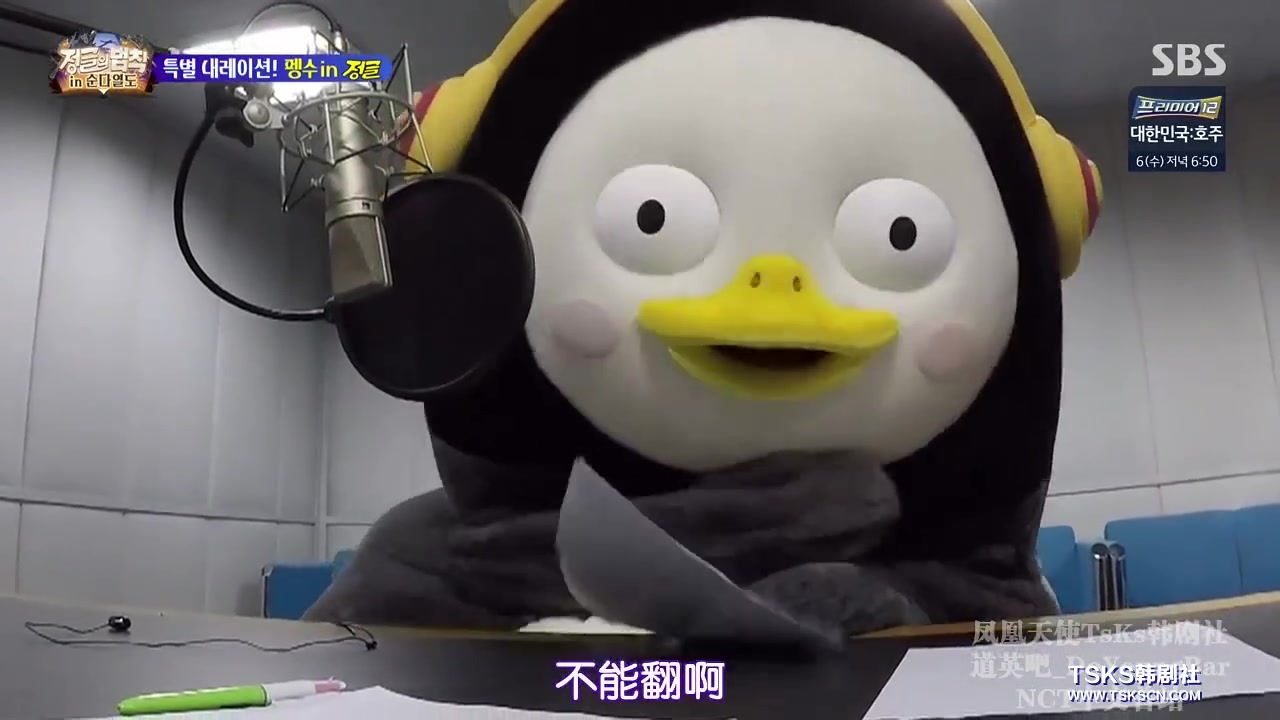 韩国企鹅pengsoo扮演者图片