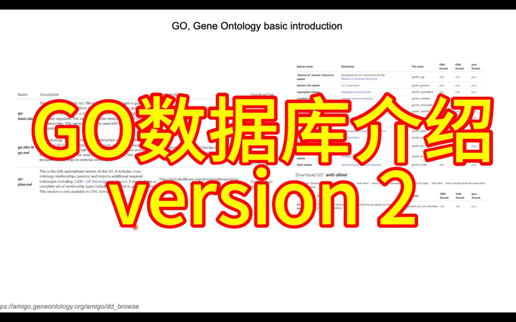 生信技能18:GO数据库介绍version2 | 同学分享哔哩哔哩bilibili