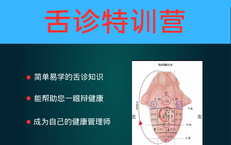 中医舌诊教学 教你学会舌诊哔哩哔哩bilibili