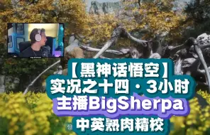 Tải video: 【熟肉|精校】黑神话悟空·BigSherpa实况之十四·3小时【中英字幕】