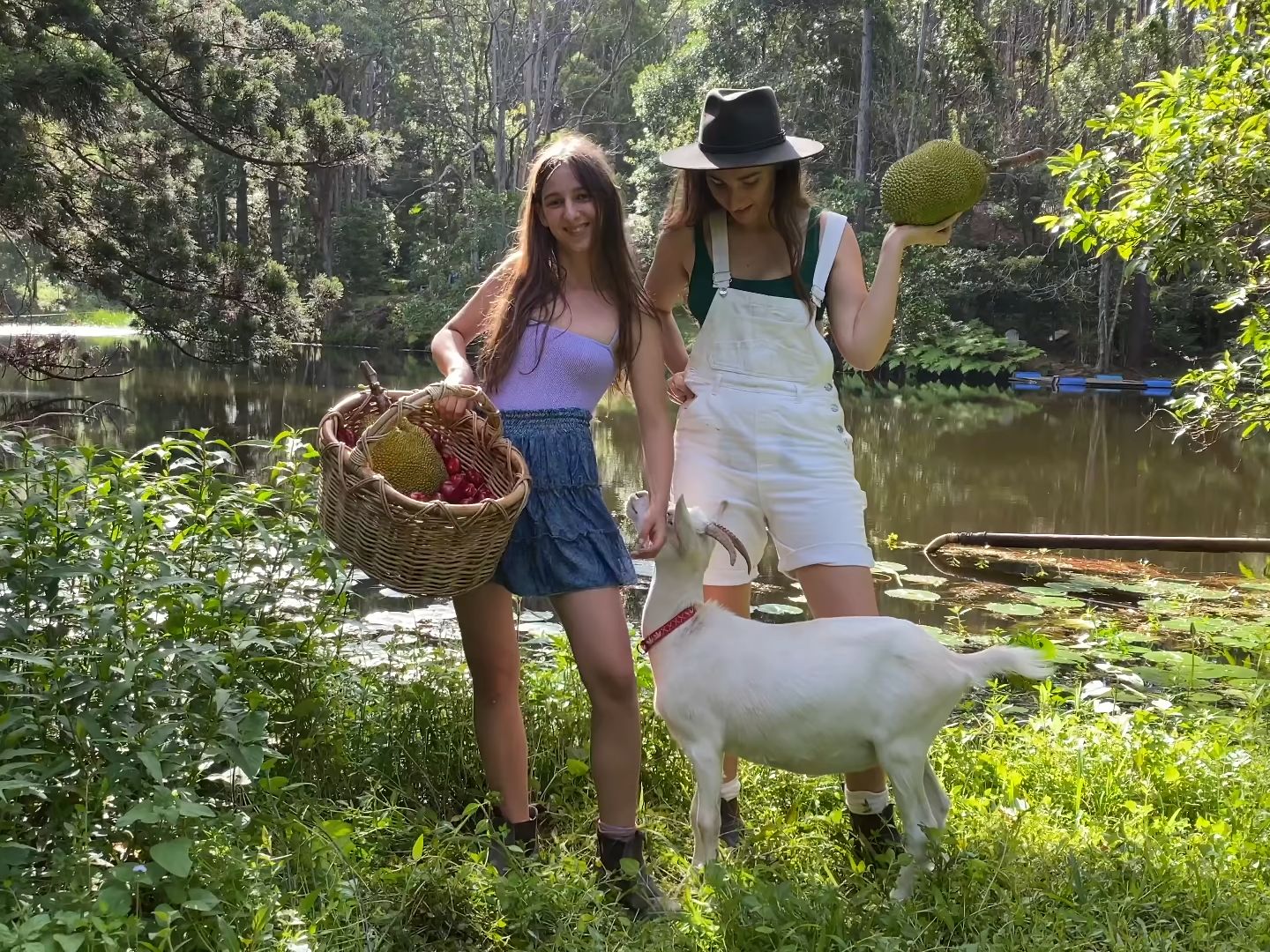 Canoeing To A Hidden Orchard In Our Magical Permaculture Food Forest!哔哩哔哩bilibili