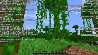 Minecraft 游戏中转动视角就掉帧的解决方法 哔哩哔哩 Bilibili