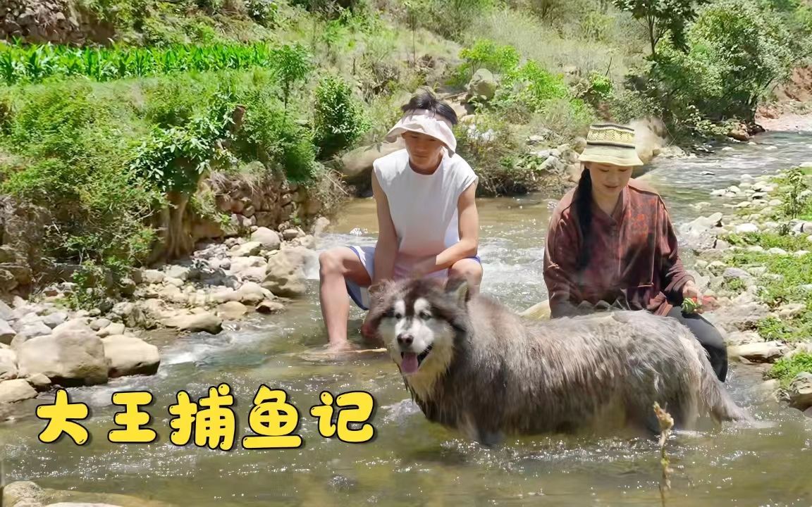 [图]带着大王和来福去小溪里抓鱼啦！