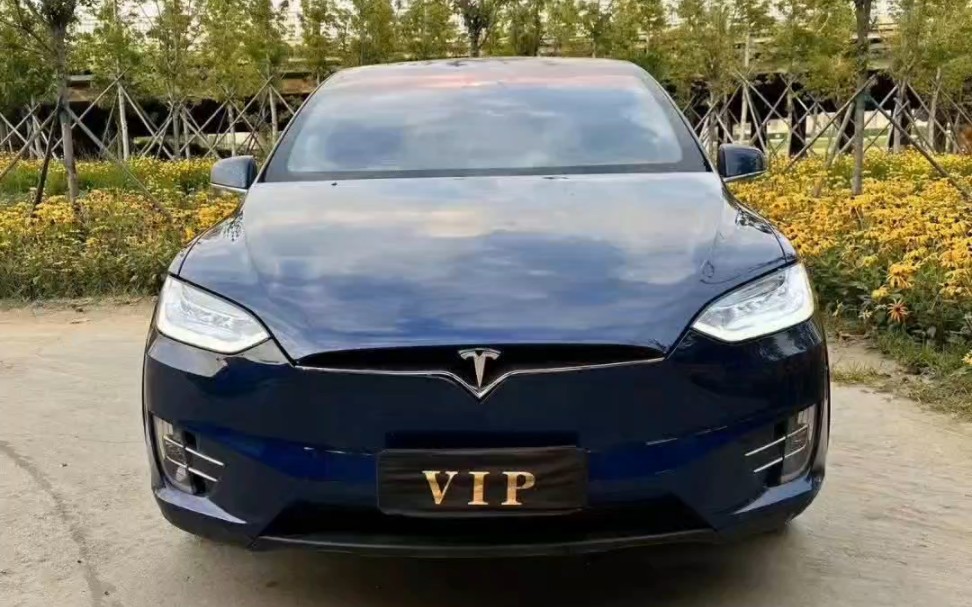 17.x,18年上牌特斯拉model x 100d