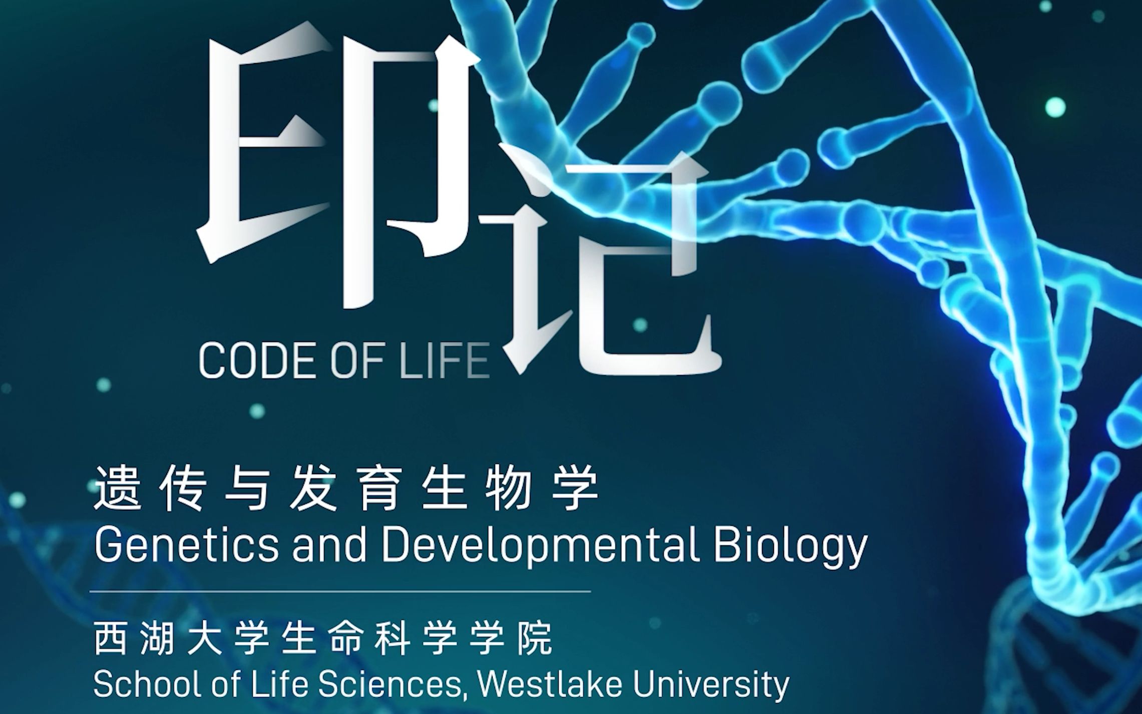 [图]印记｜西湖大学生命科学学院遗传与发育生物学Program宣传片