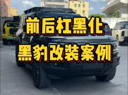 下载视频: 又一台前后杠黑化的黑豹案例