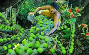 Скачать видео: 铁蛋在野外接连摘到火龙果、青枣和凤梨三种水果，又是吃素的一天