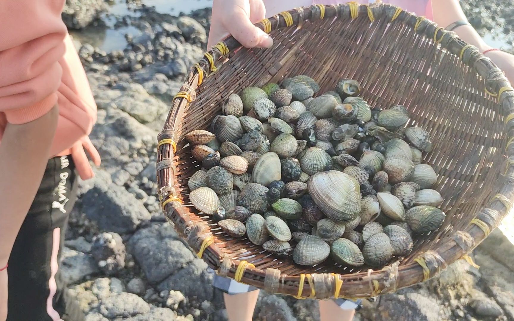 海边长大的小姑娘真厉害,赶海竟然收获蛤蜊海螺160个,小利:太成功了
