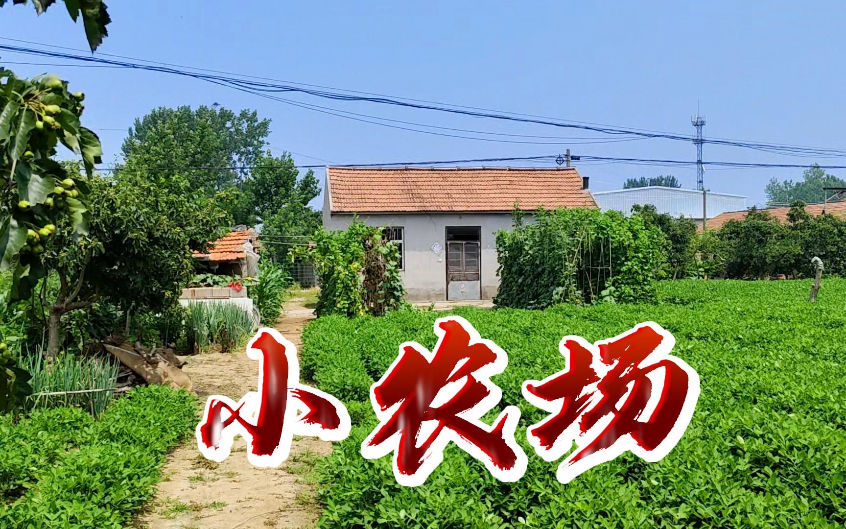 出发!远离城市的喧嚣,去小农场逛一逛规划未来!