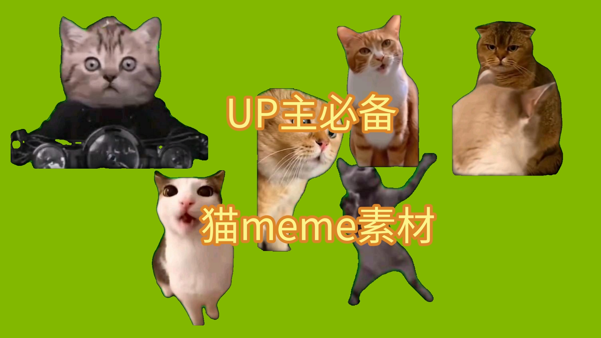 [图]猫meme素材（超长合集）（看了求投币）