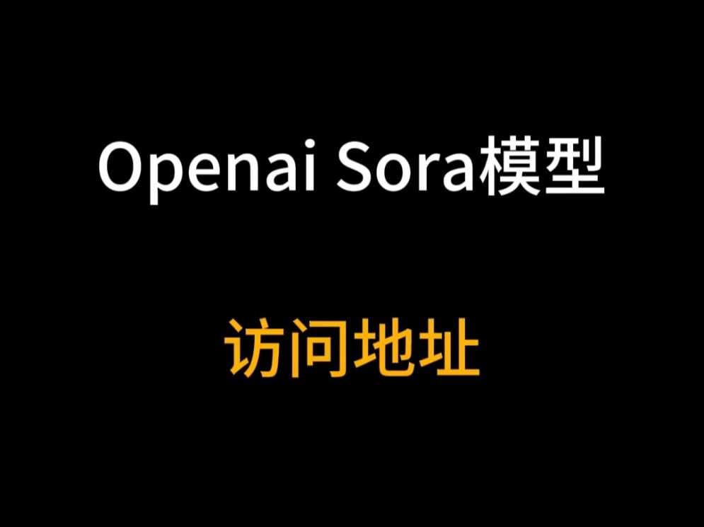 Sora访问地址!使用教程!在哪里下载!哔哩哔哩bilibili