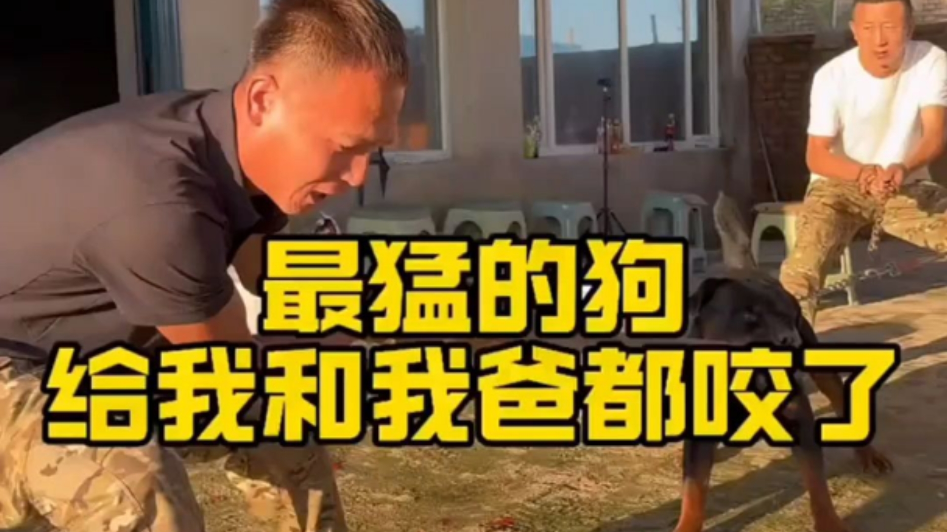 潘宏训最猛的狗，给他爸都咬了
