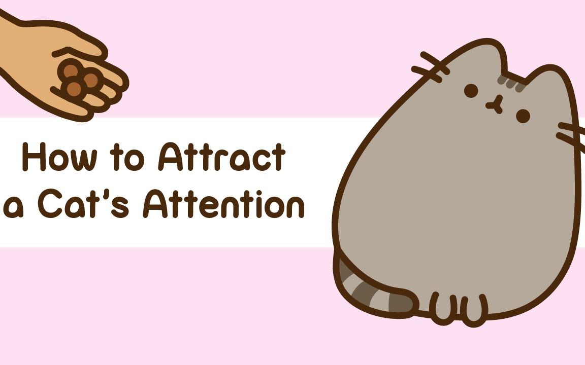 【pusheen the cat】如何吸引猫的注意
