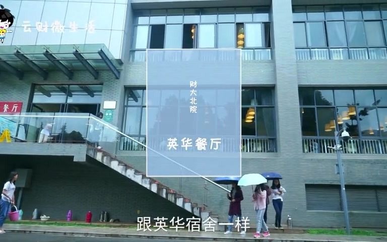 【新生必看5】学校介绍之财大食堂(视频)(1)哔哩哔哩bilibili