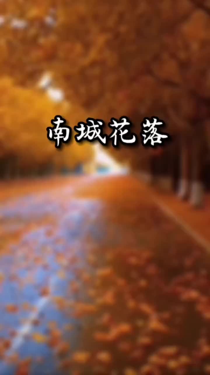 南城花落简介图片