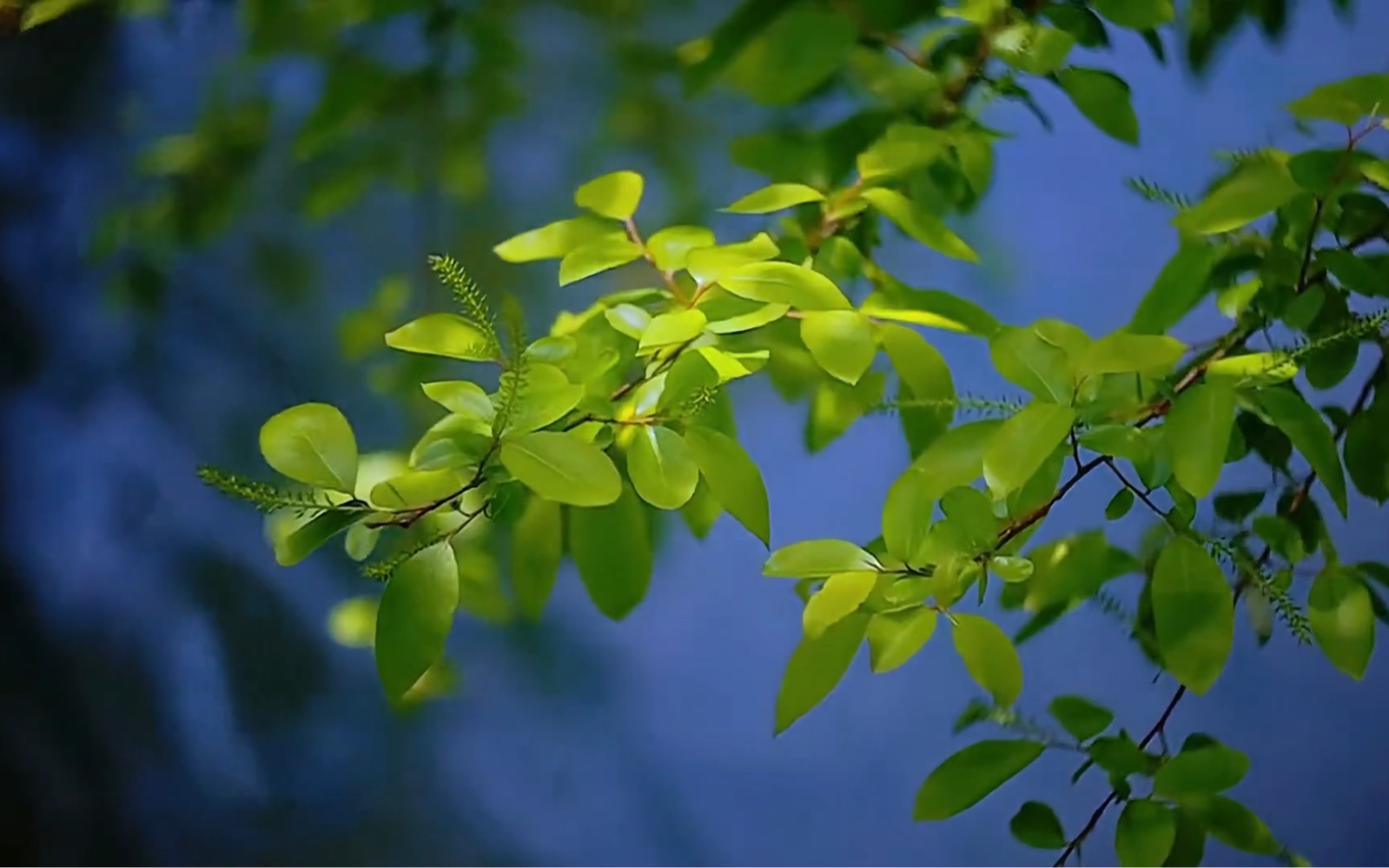 人生处处是风景,拥有美丽心情是一种幸福的能力,与外界无关……读一本
