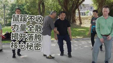 何静寒老师]200926_04_用阳练阴，藉外练内。千古不传之秘。_哔哩哔哩_